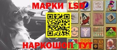 гидропоника Пенза