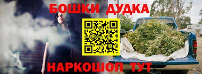 гидропоника Пенза