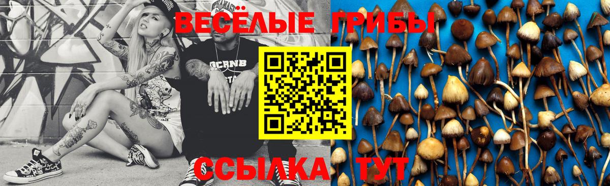 Псилоцибиновые грибы мицелий Севастополь
